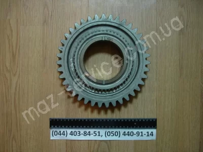 239-1701112-10 Шестерня 1-й перед. втор. вала