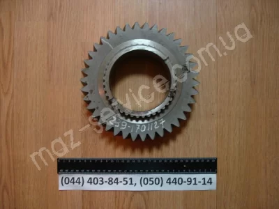 239-1701127-10 Шестерня 2-й перед. втор. вала 38 з