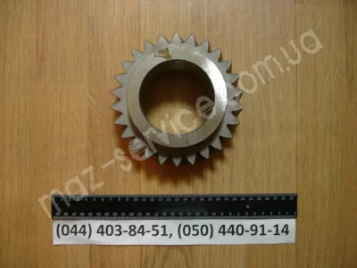 239-1701050-10 Шестерня 2-й перед. пром. вала