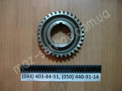 236-1701051 Шестерня 3-й перед. пром. вала 33 зуб