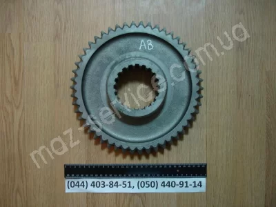 236-1701112-Б Шестерня 1-й перед. втор. вала 50 з.