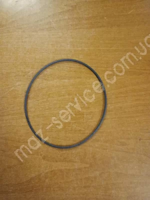 236-1028246 Кольцо упл.центрифуги