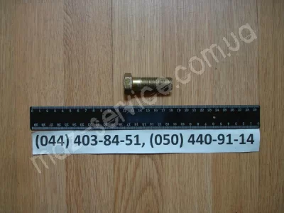 372787 Болт М18х1,5-6ПХ-50