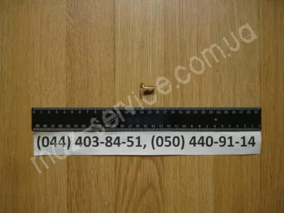 BPW Заклепка накладки колод. 8х15 (5440)