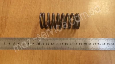 650-1007020 Пружина клапана наружная