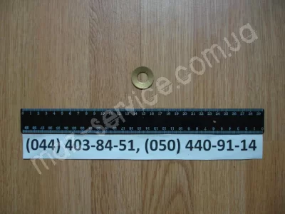 312484 Шайба