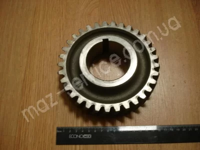 236-1701051 Шестерня 3-й перед. пром. вала 33 зуб